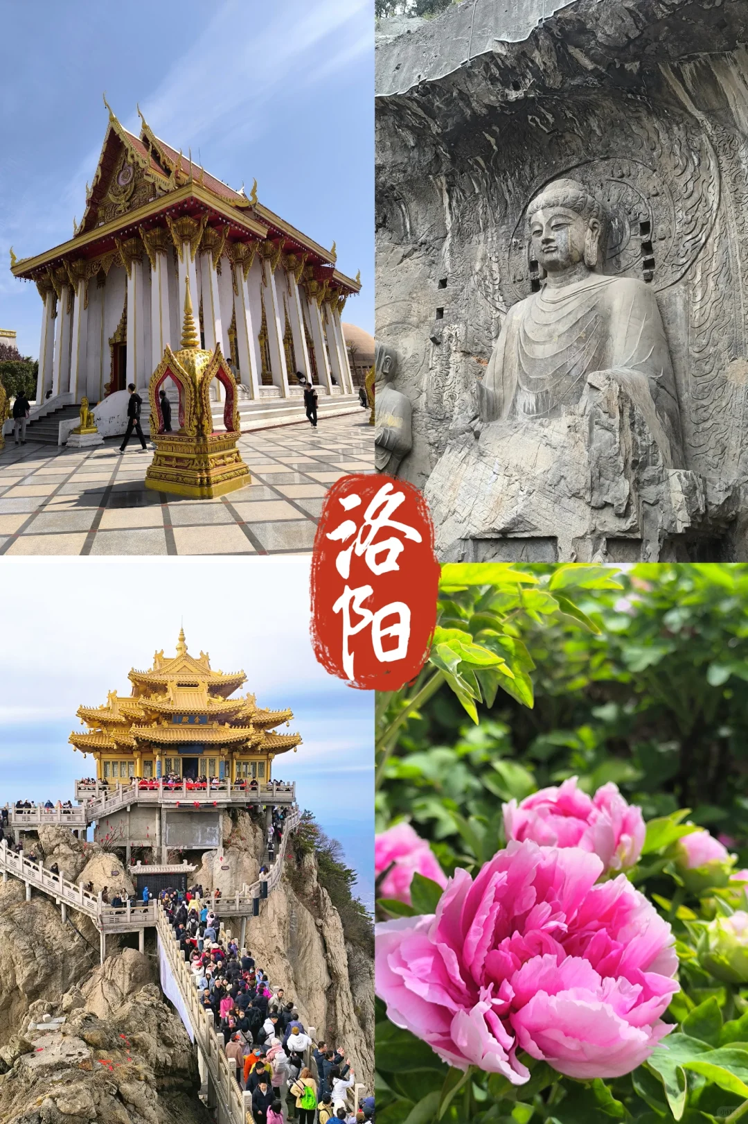 去了，不后悔！ 三天两夜洛阳旅游！