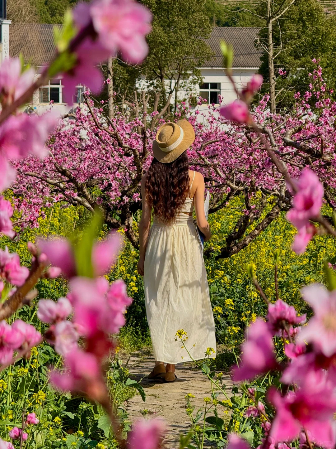 杭州1h❗️我找了春日限定的金色浪漫🌼🌼🌼