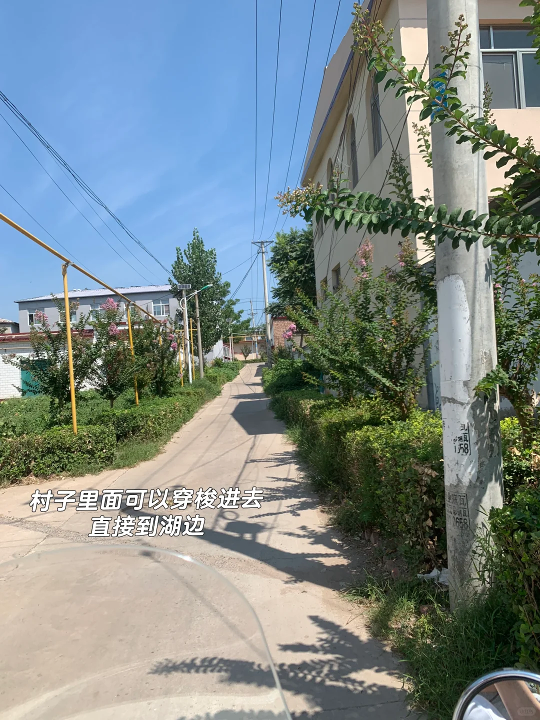 咱邯郸也有海🌊