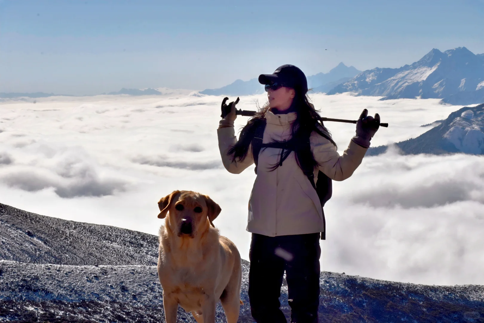 川西可以带狗狗的景区大全