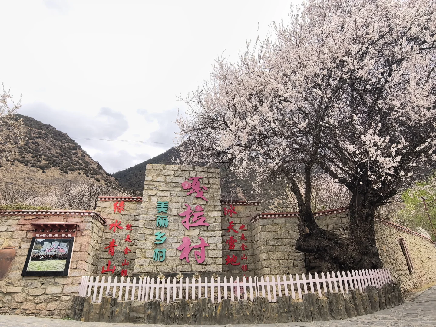 🍑林芝嘎拉桃花村 | 没进景区，却挖到宝