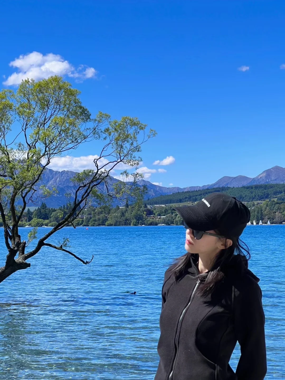 3.19新西兰已回,根本不像xhs说的那样。。