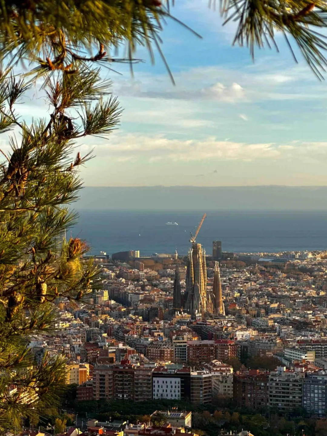 📍西班牙3.8受难已回。。😅尊嘟崩溃