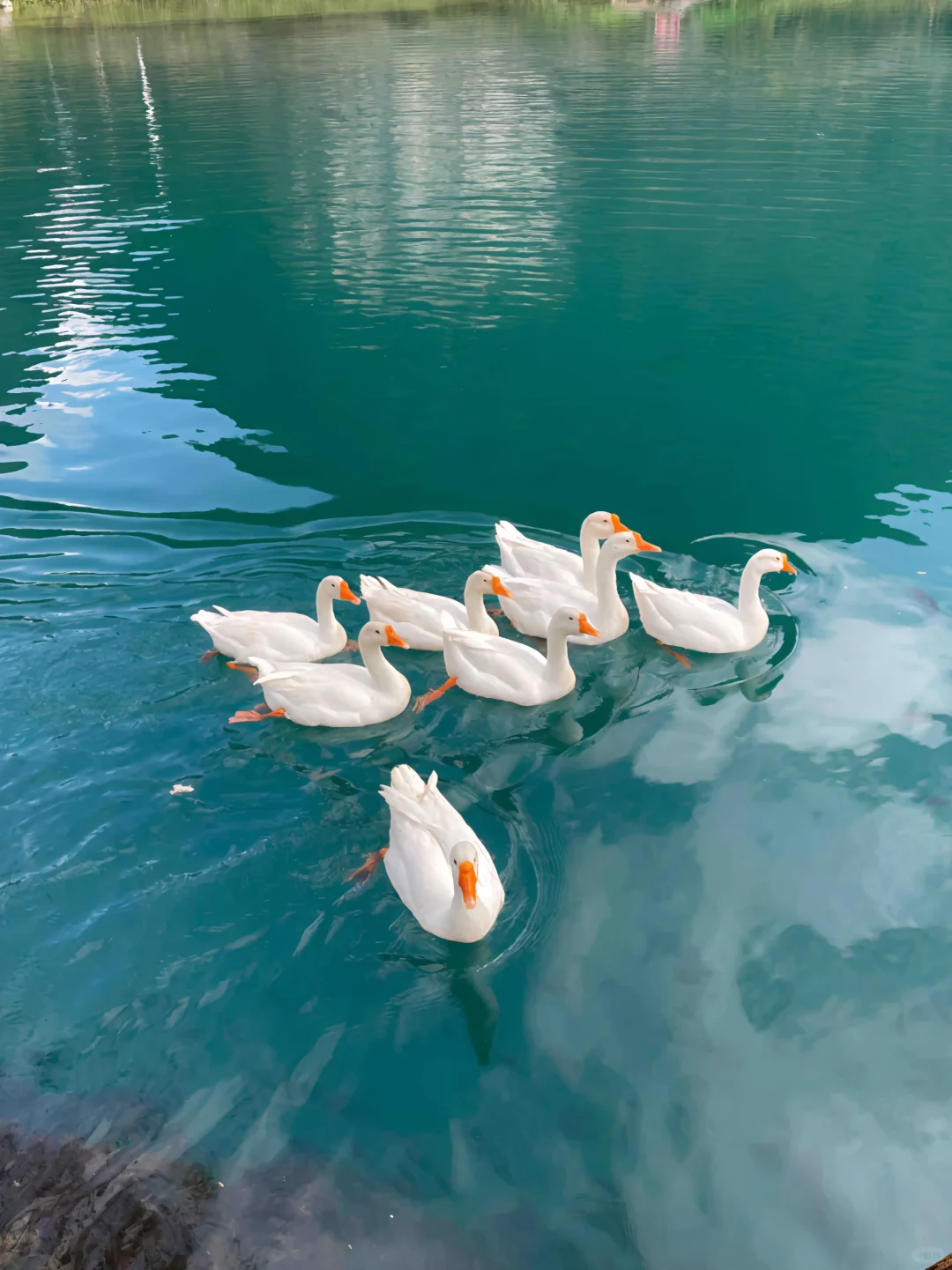 崇左已回，五一，三天两夜春季旅游攻略