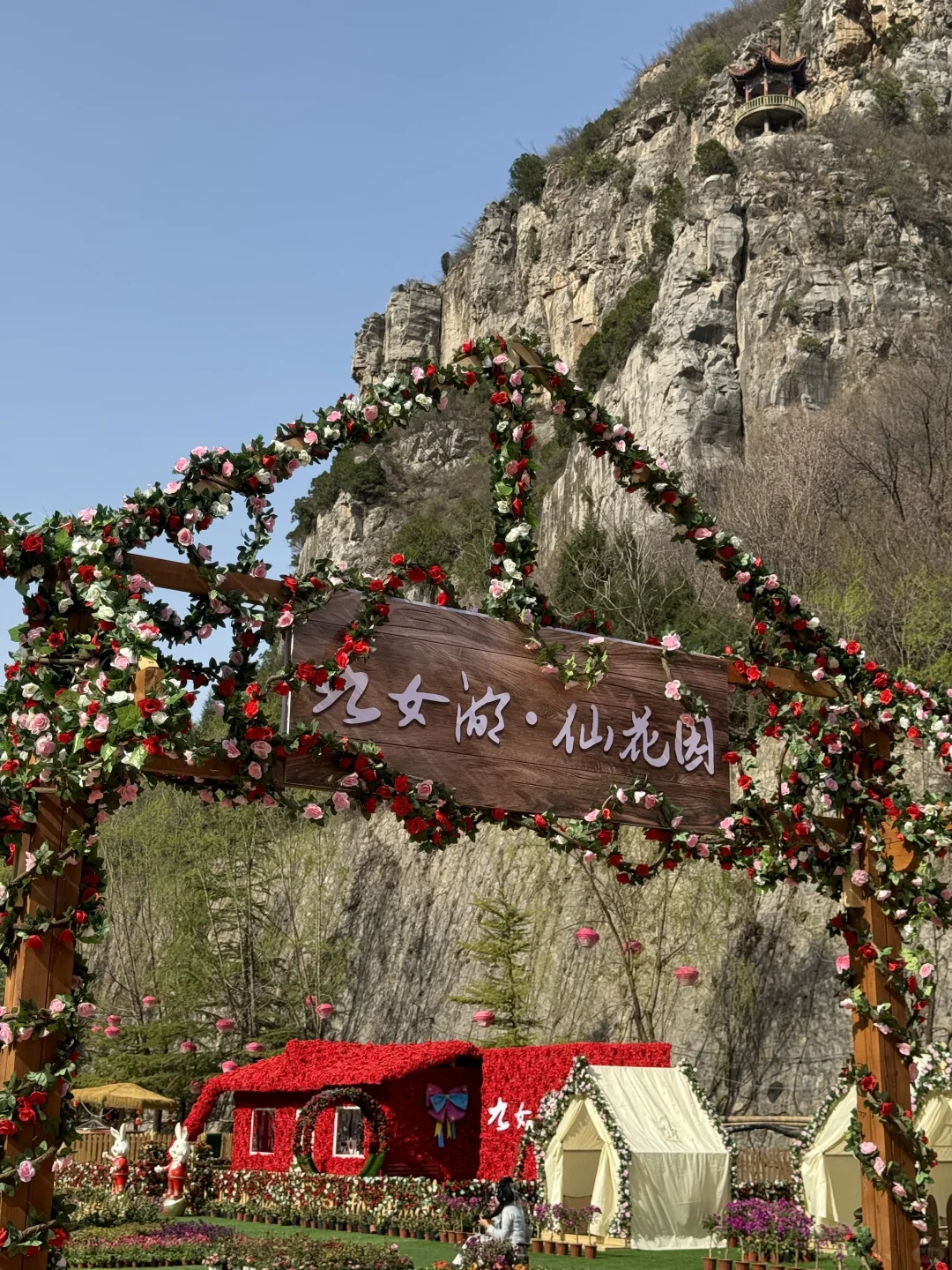 感受春天🌷🌻🌾🌿