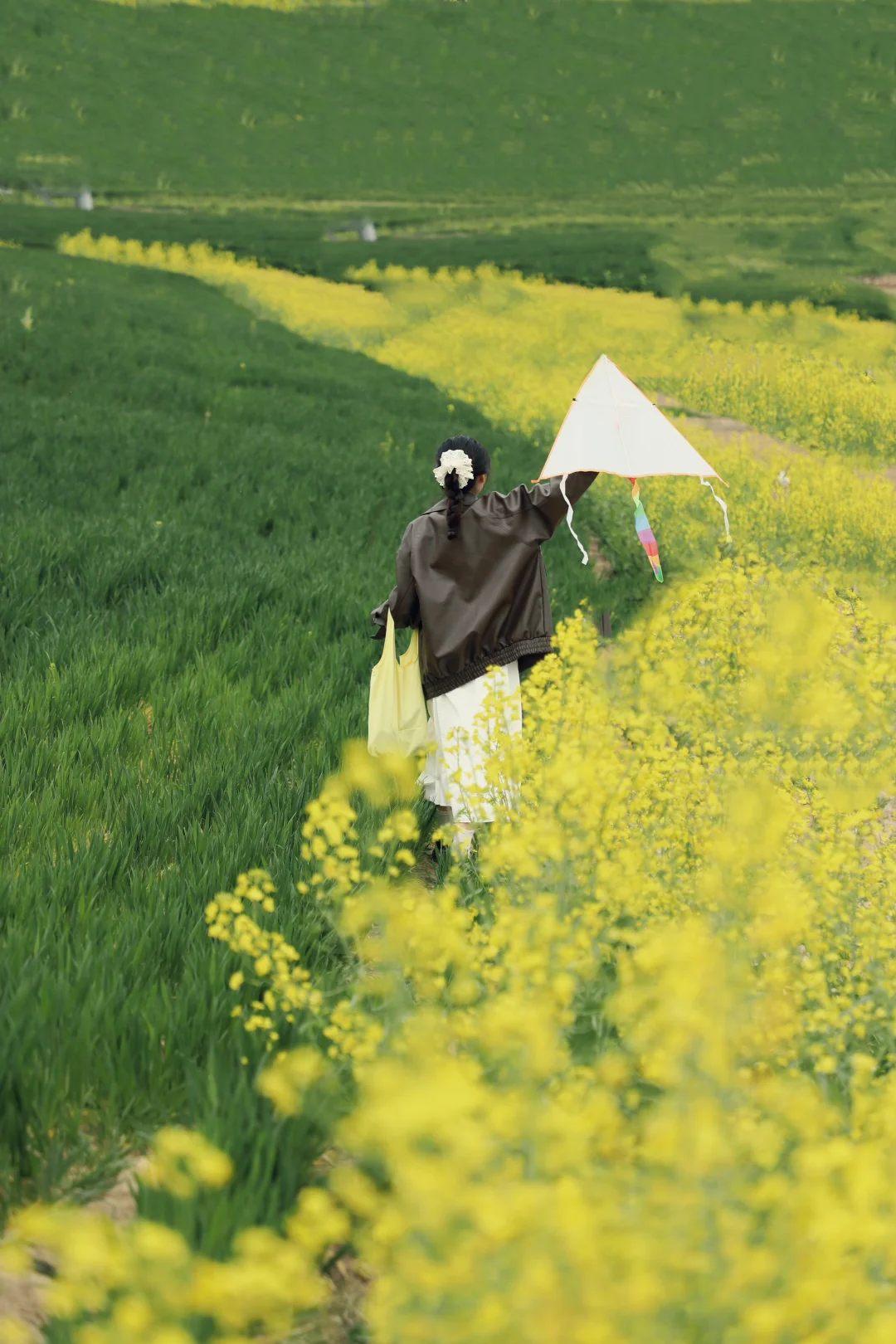 油菜花➕麦田➕风筝节🪁郑州清明踏青指南