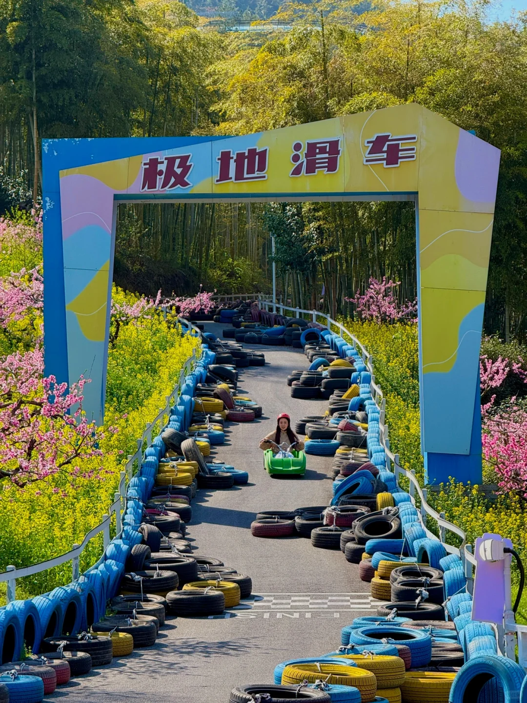 杭州1h❗️我找了春日限定的金色浪漫🌼🌼🌼