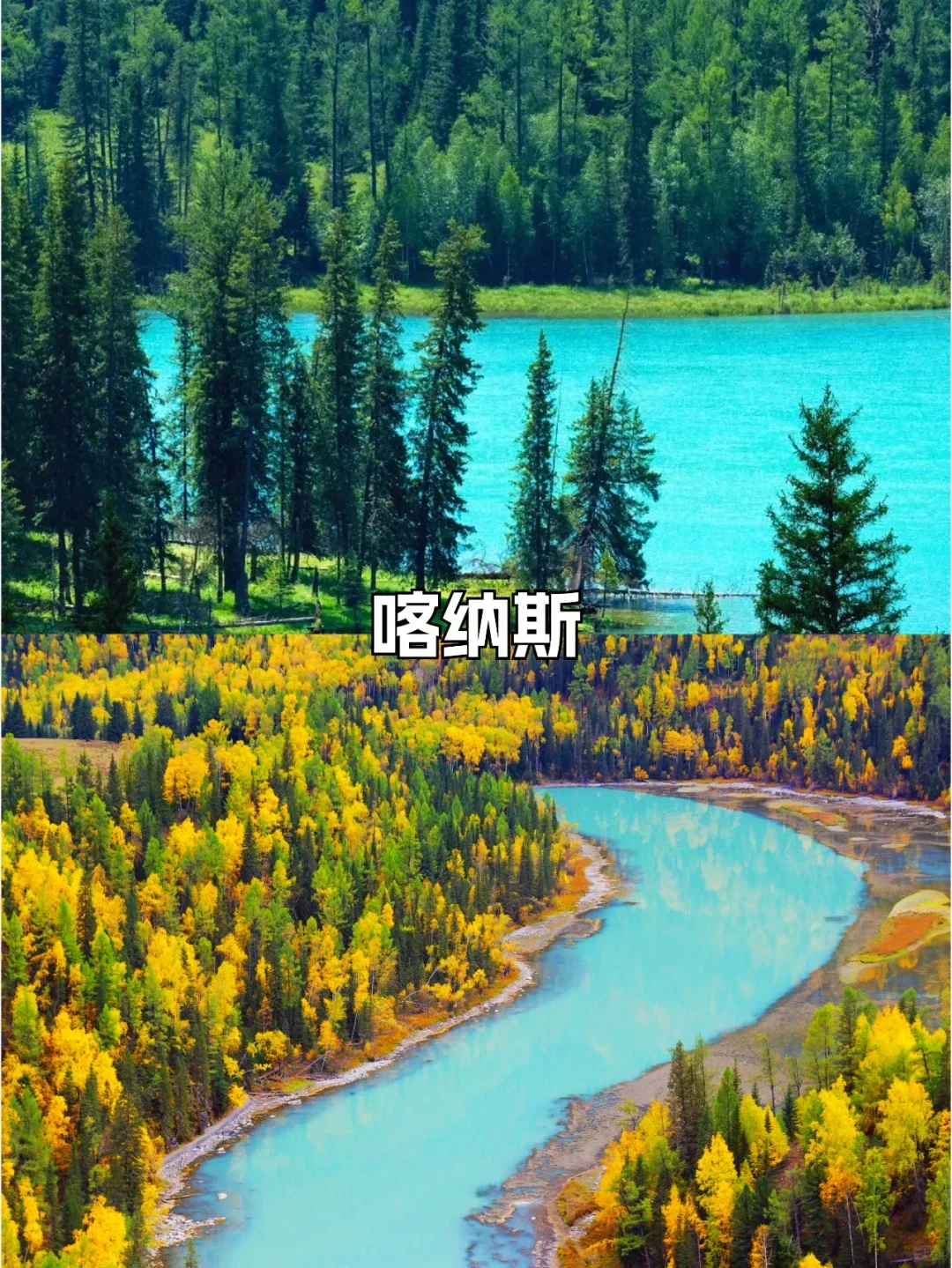 新疆旅游必去16个景点合集🔥超级好看🔥