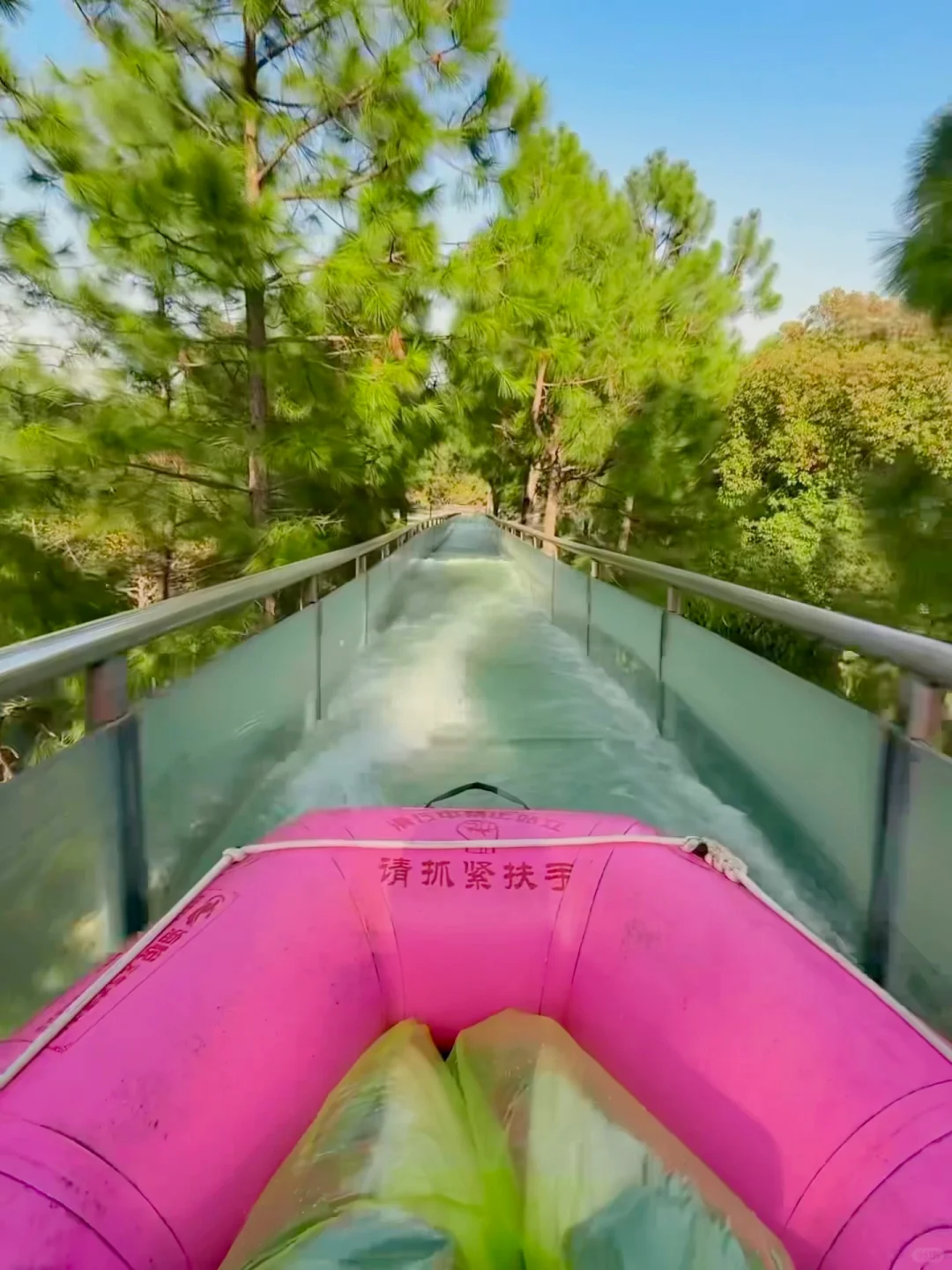 杭州1h❗️我找了春日限定的金色浪漫🌼🌼🌼