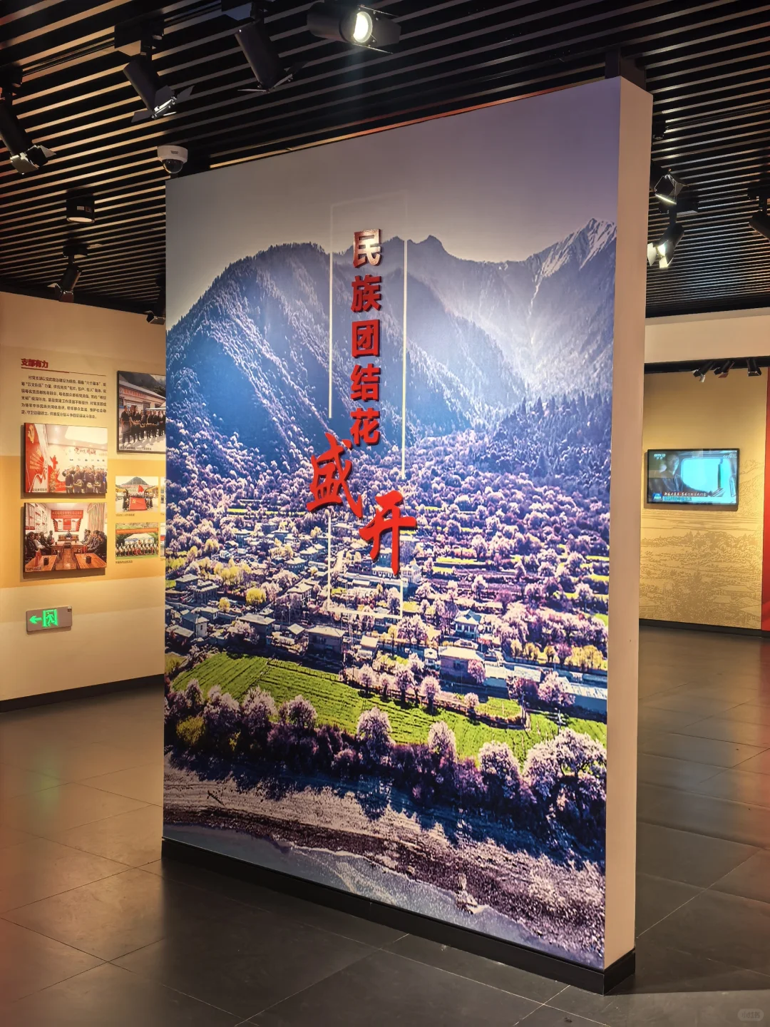 🍑林芝嘎拉桃花村 | 没进景区，却挖到宝