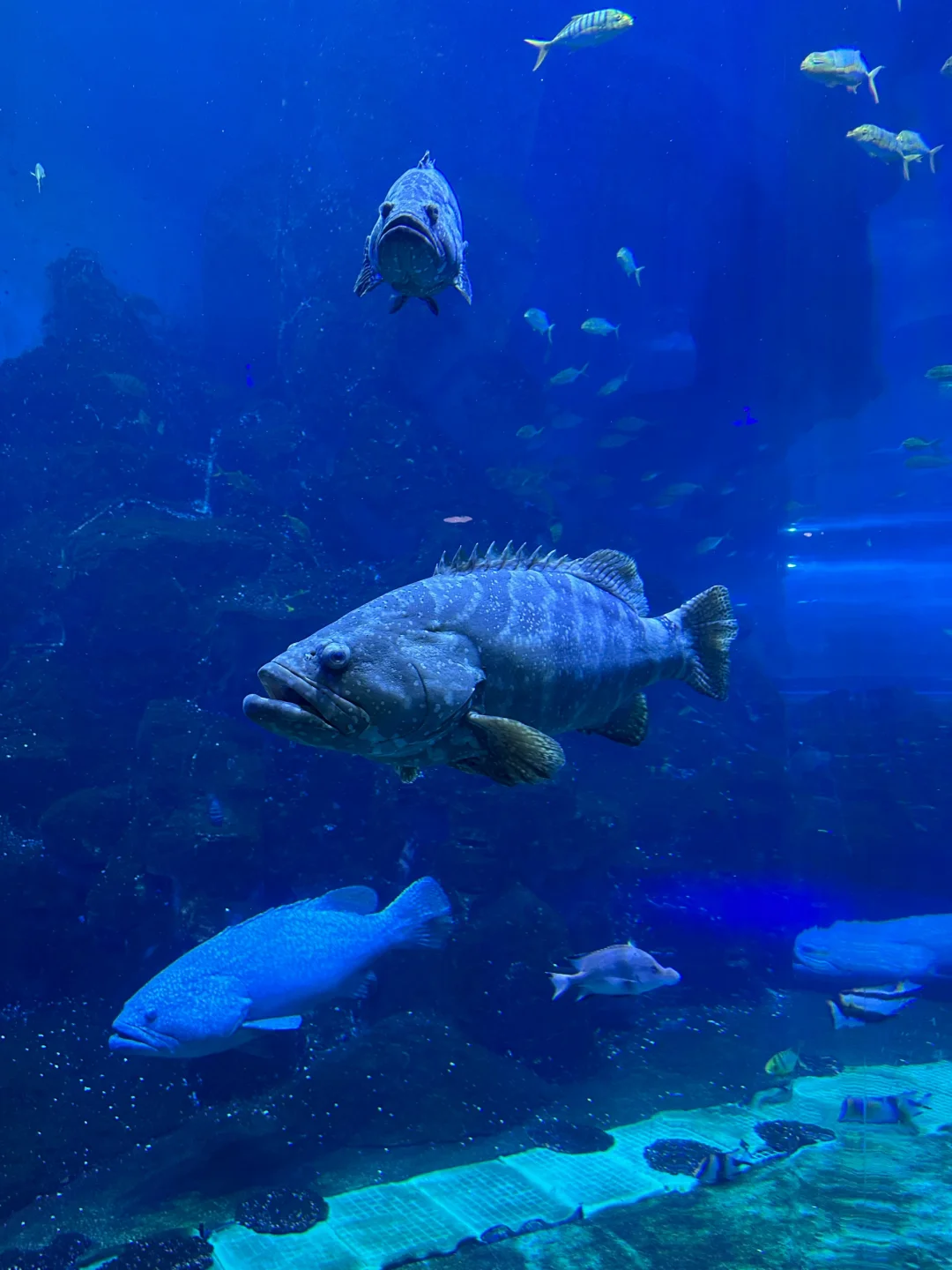 威海旅游攻略！！！