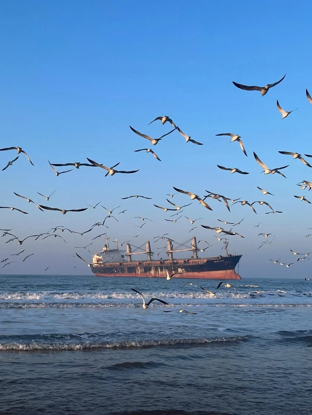 威海旅游 | 吐血整理！避坑+打卡全攻略🚩