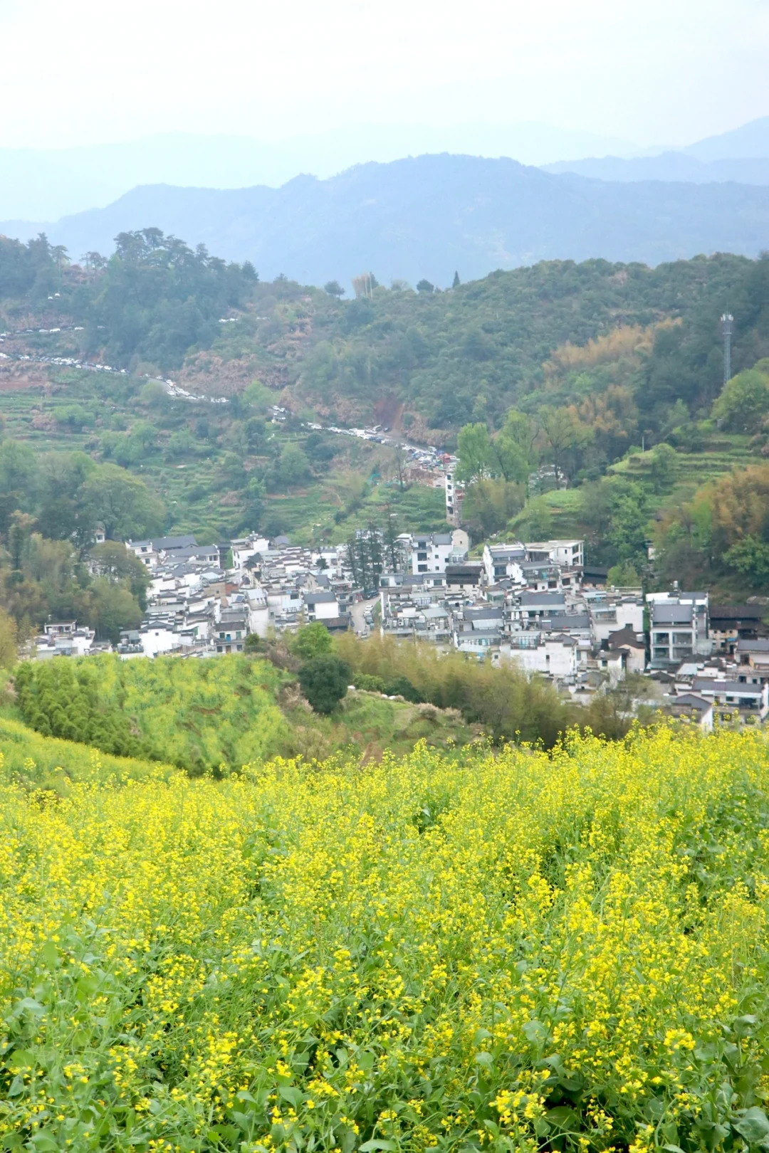 婺源3天2晚10景区超详细旅游路线📝攻略‼️