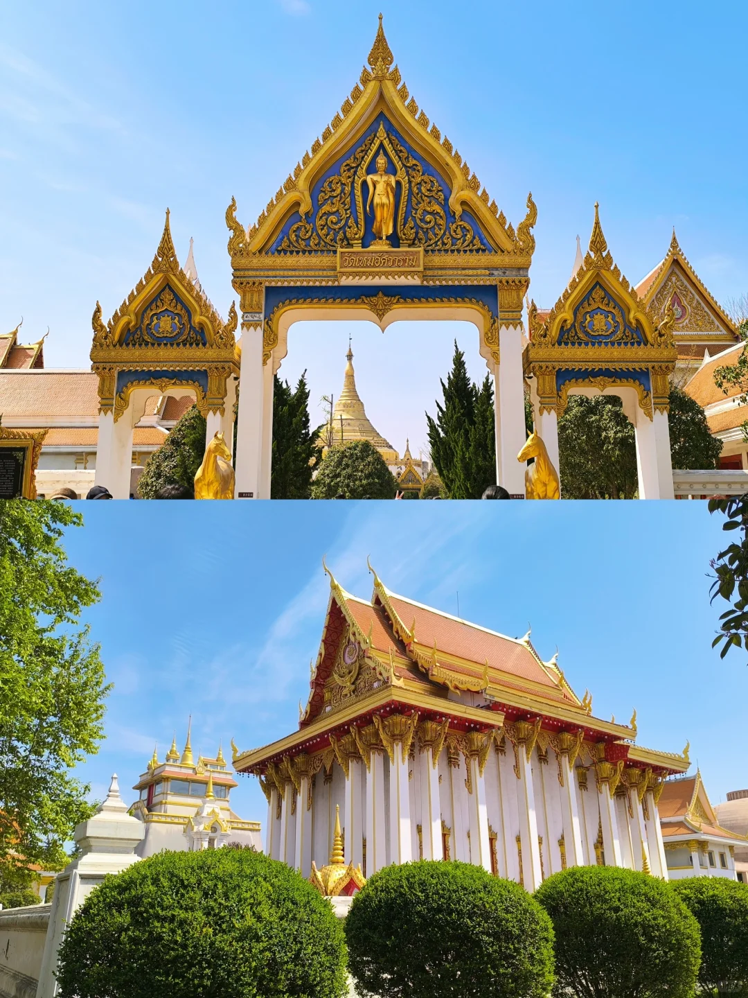 去了，不后悔！ 三天两夜洛阳旅游！