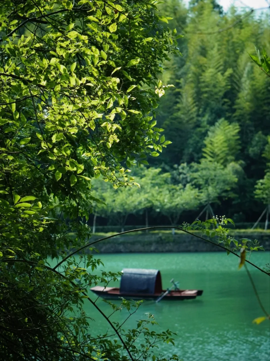 宜兴｜我宣布这座小城真是我反向旅游的NO.1