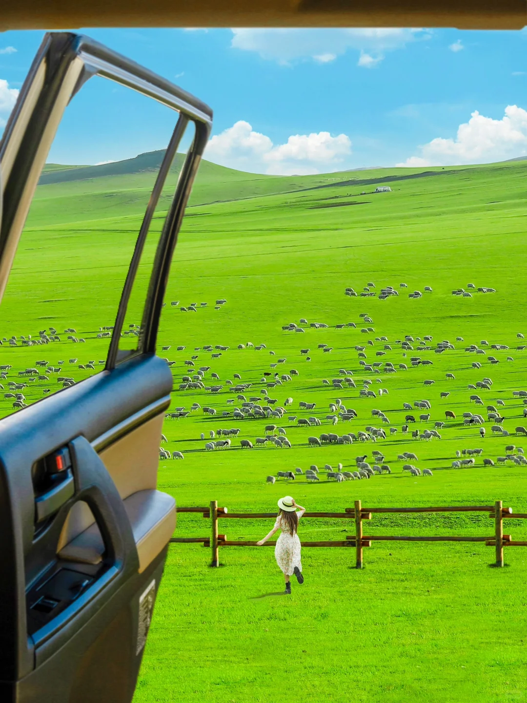 “我这一生,总有一个夏天要留给呼伦贝尔‼️”