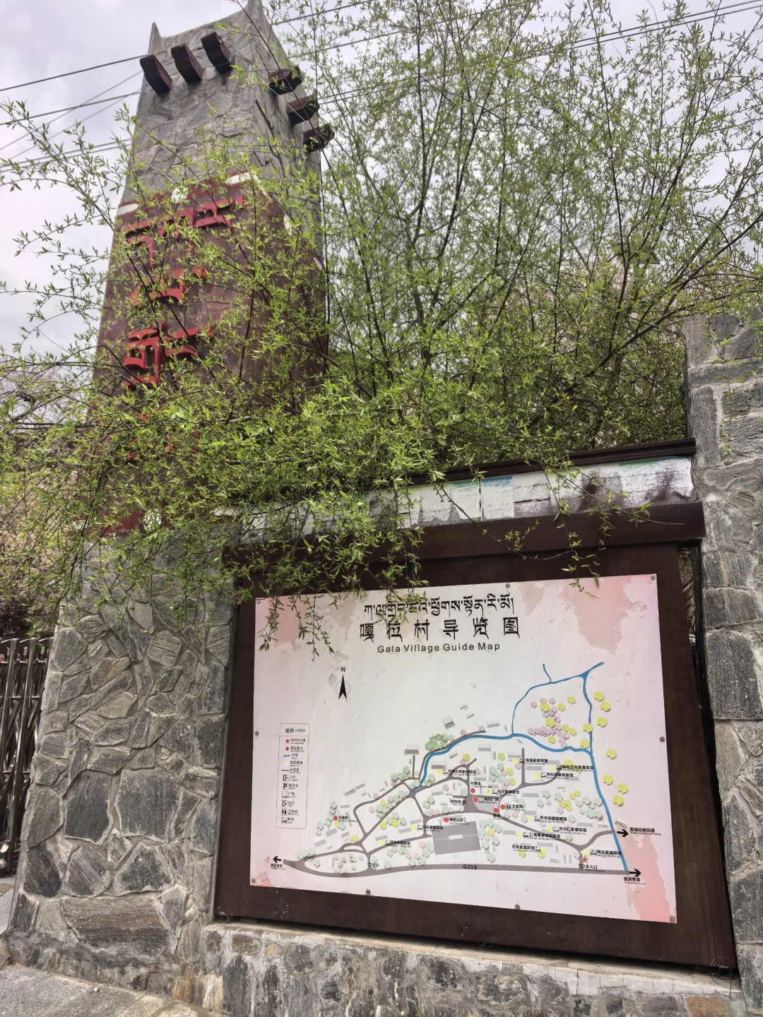 🍑林芝嘎拉桃花村 | 没进景区，却挖到宝