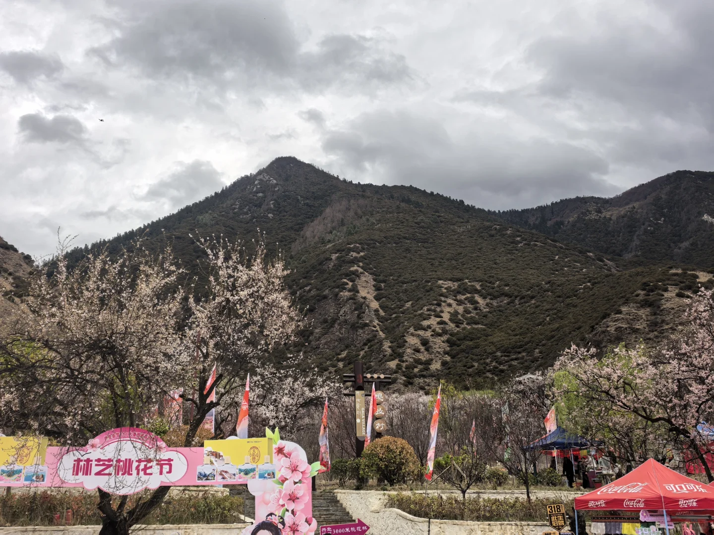 🍑林芝嘎拉桃花村 | 没进景区，却挖到宝