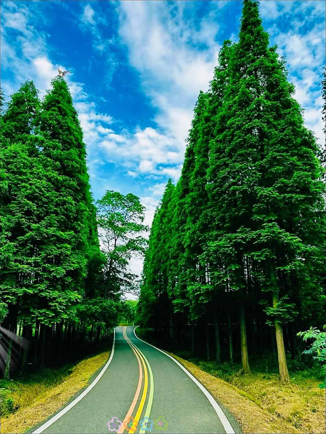 宜兴｜我宣布这座小城真是我反向旅游的NO.1