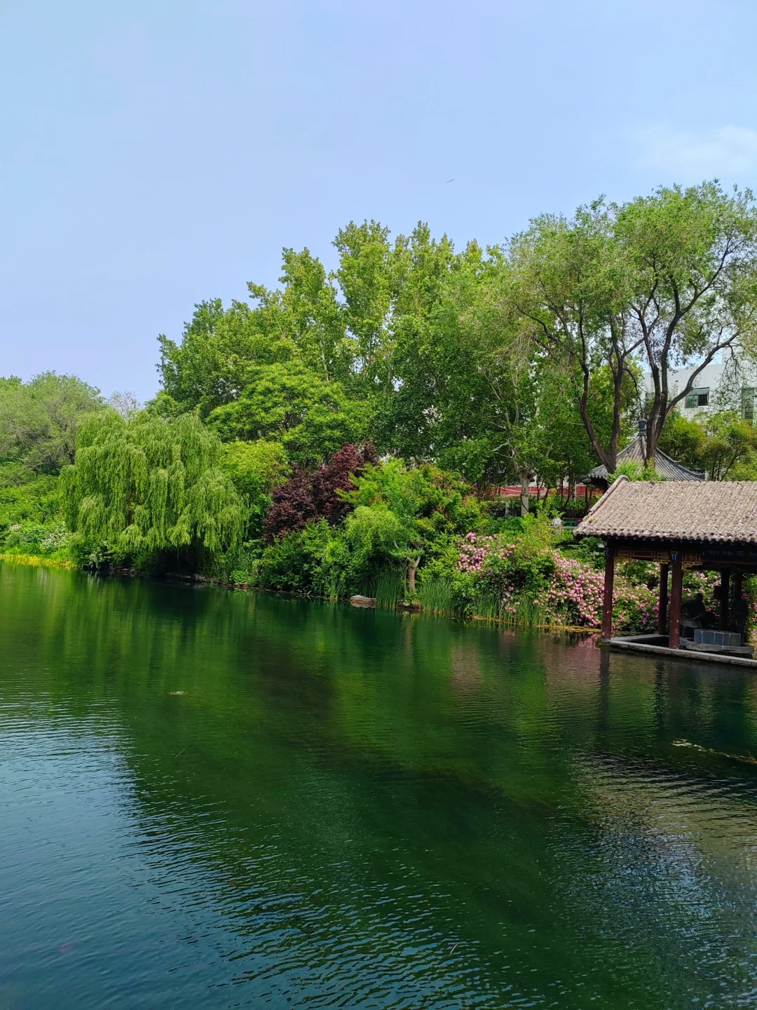 济南护城河水磨坊｜亲水栈道🌲绿意盎然