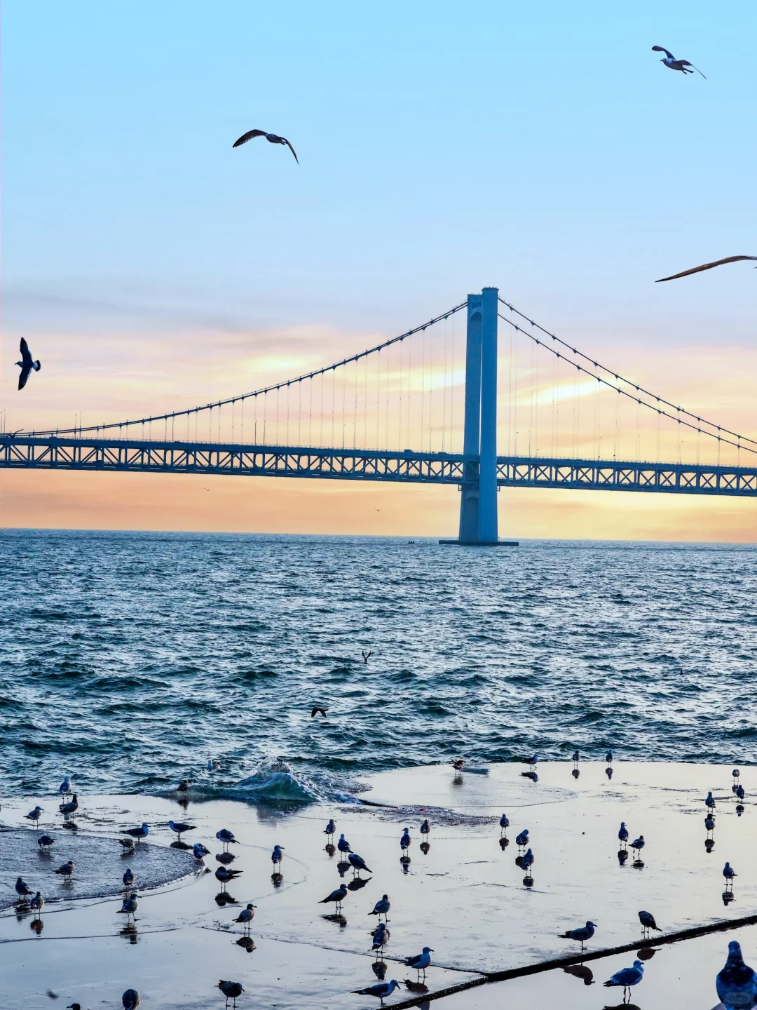 迄今为止，我最喜欢的旅游城市出现了！！！