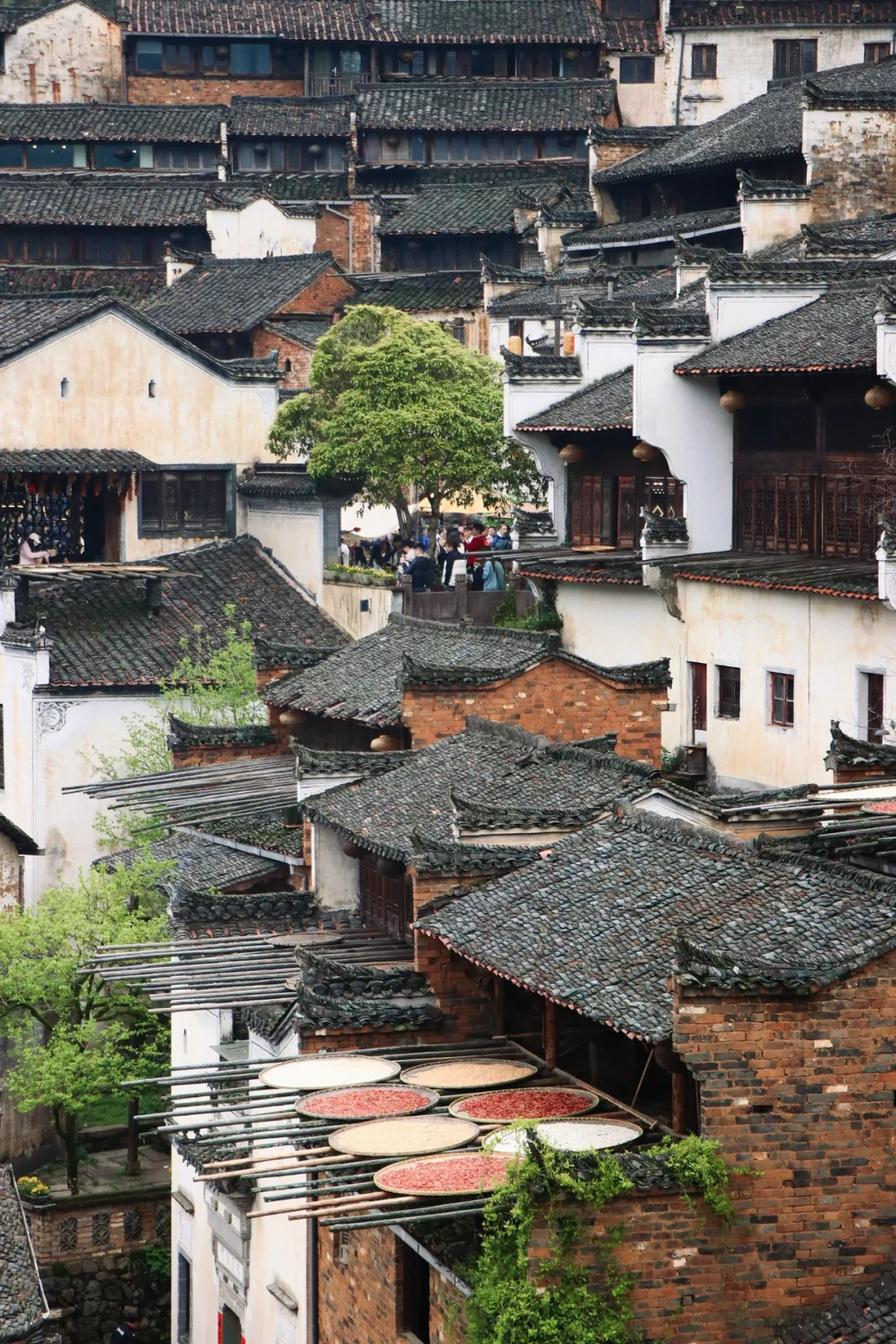 婺源3天2晚10景区超详细旅游路线📝攻略‼️