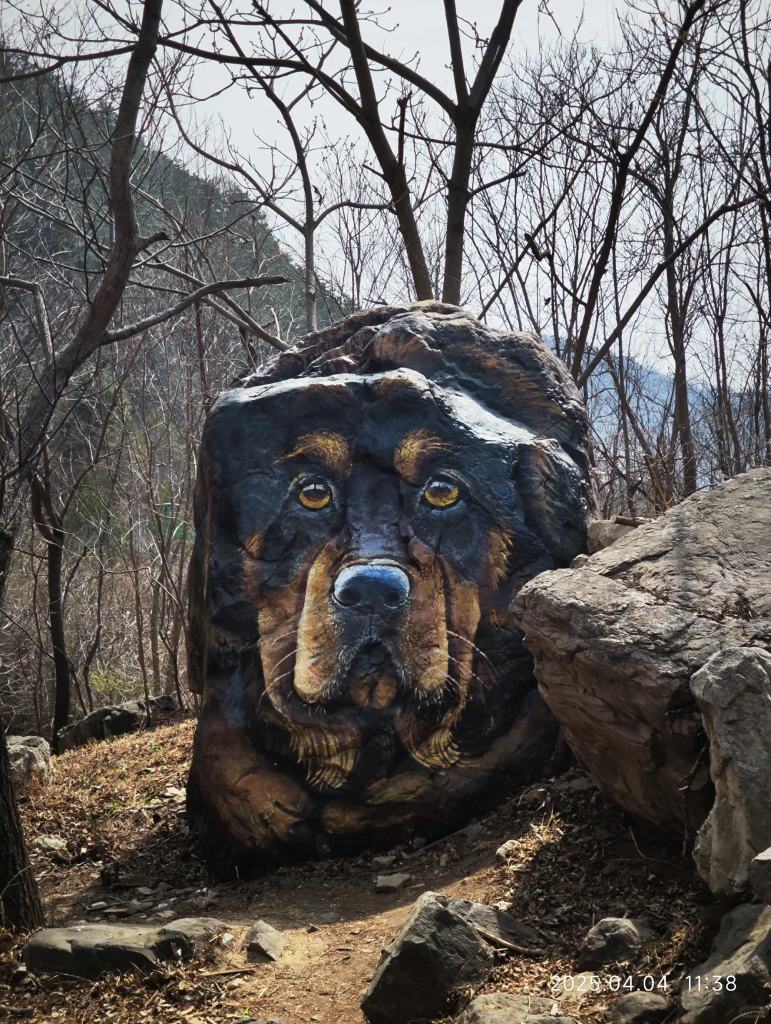 体力差的千万不要来！！