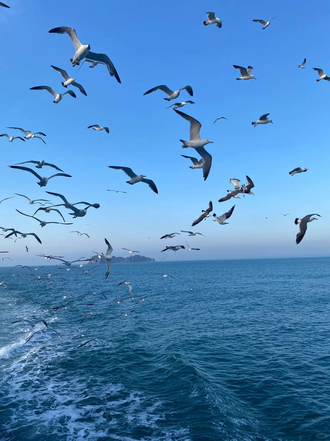 威海旅游 | 吐血整理！避坑+打卡全攻略🚩