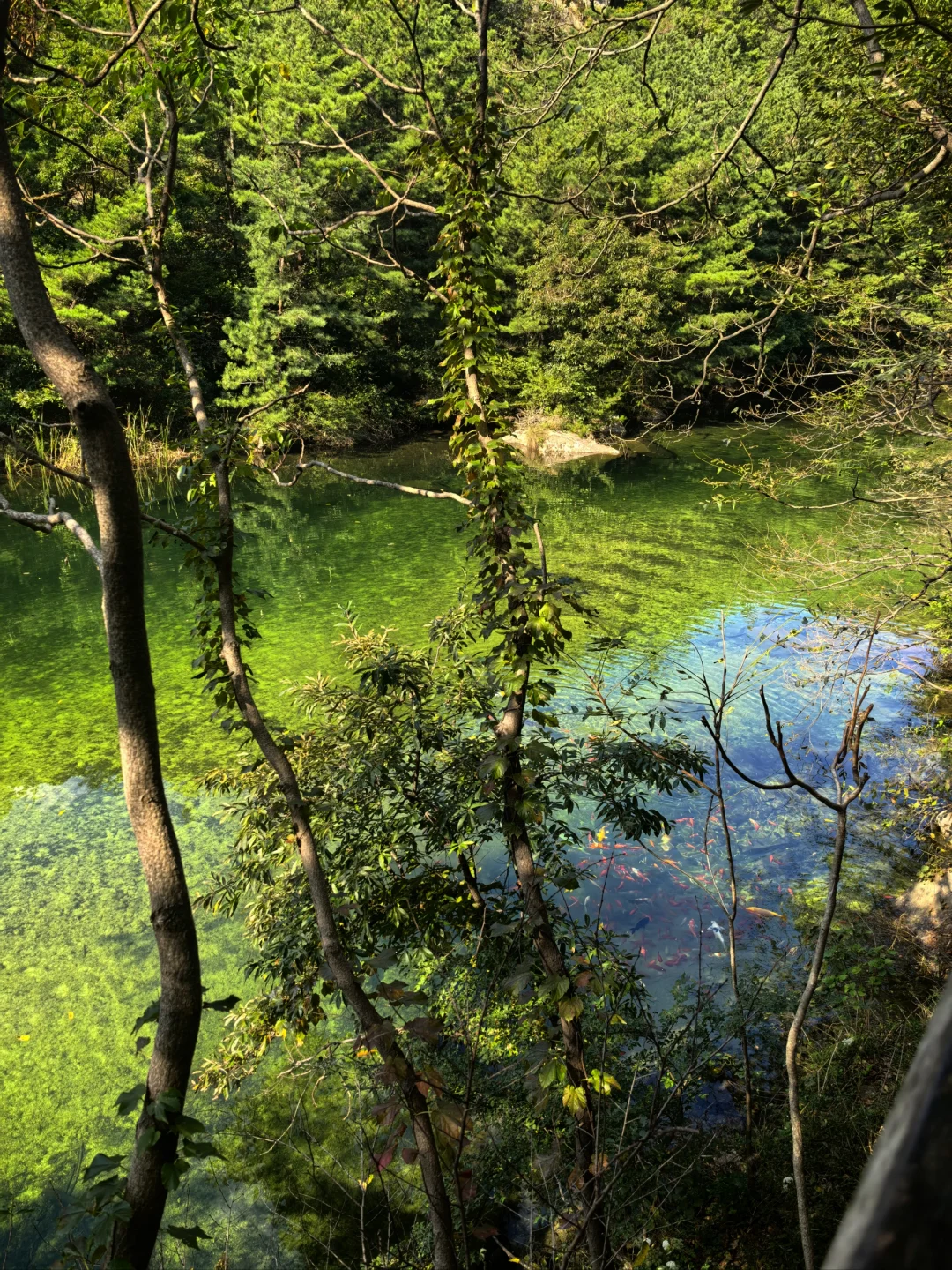威海旅行别错过这个冷门宝藏！！