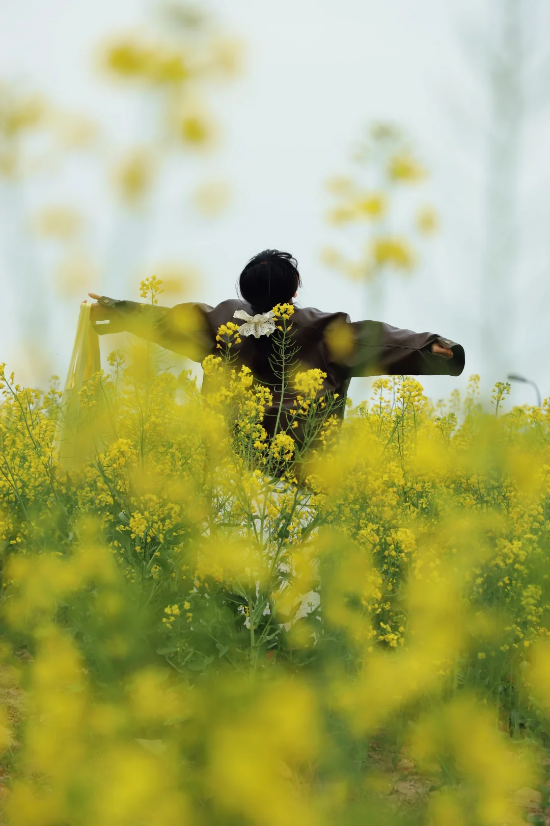 油菜花➕麦田➕风筝节🪁郑州清明踏青指南