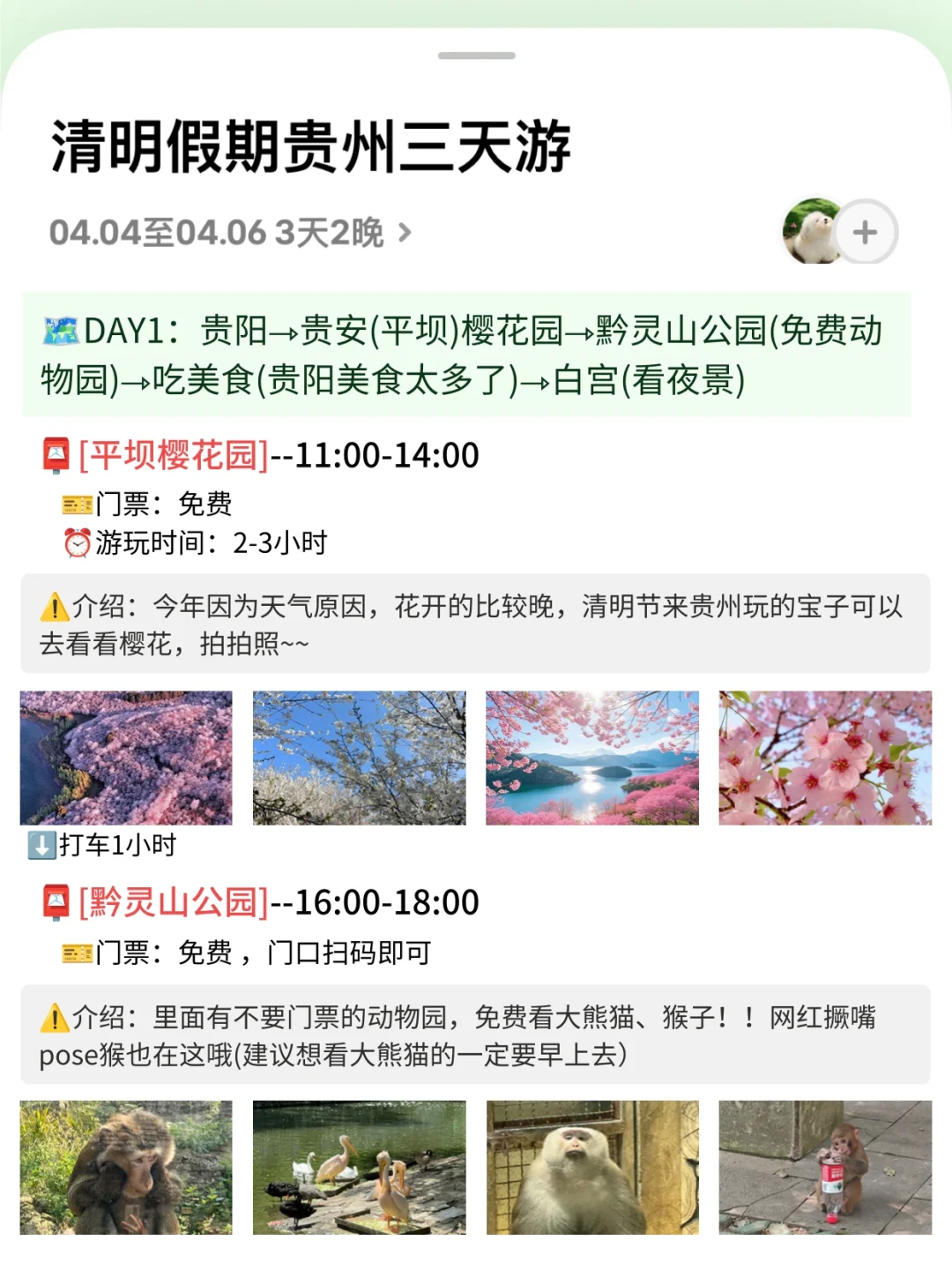 OMG❗被自己做的贵州旅游攻略满意的睡不着