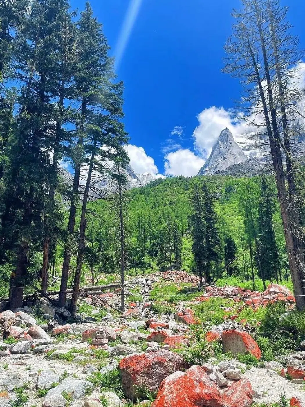 美哭我😭|||已经开始期待川西的春天来了