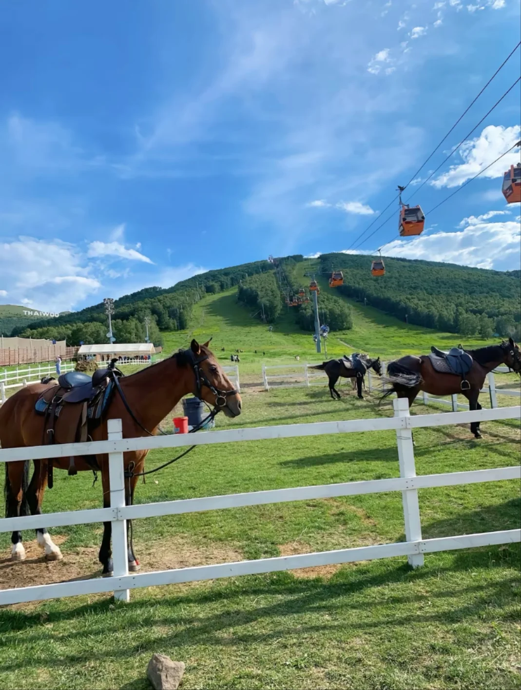 邯郸到张北草原太舞小镇2日（跟团游）分享