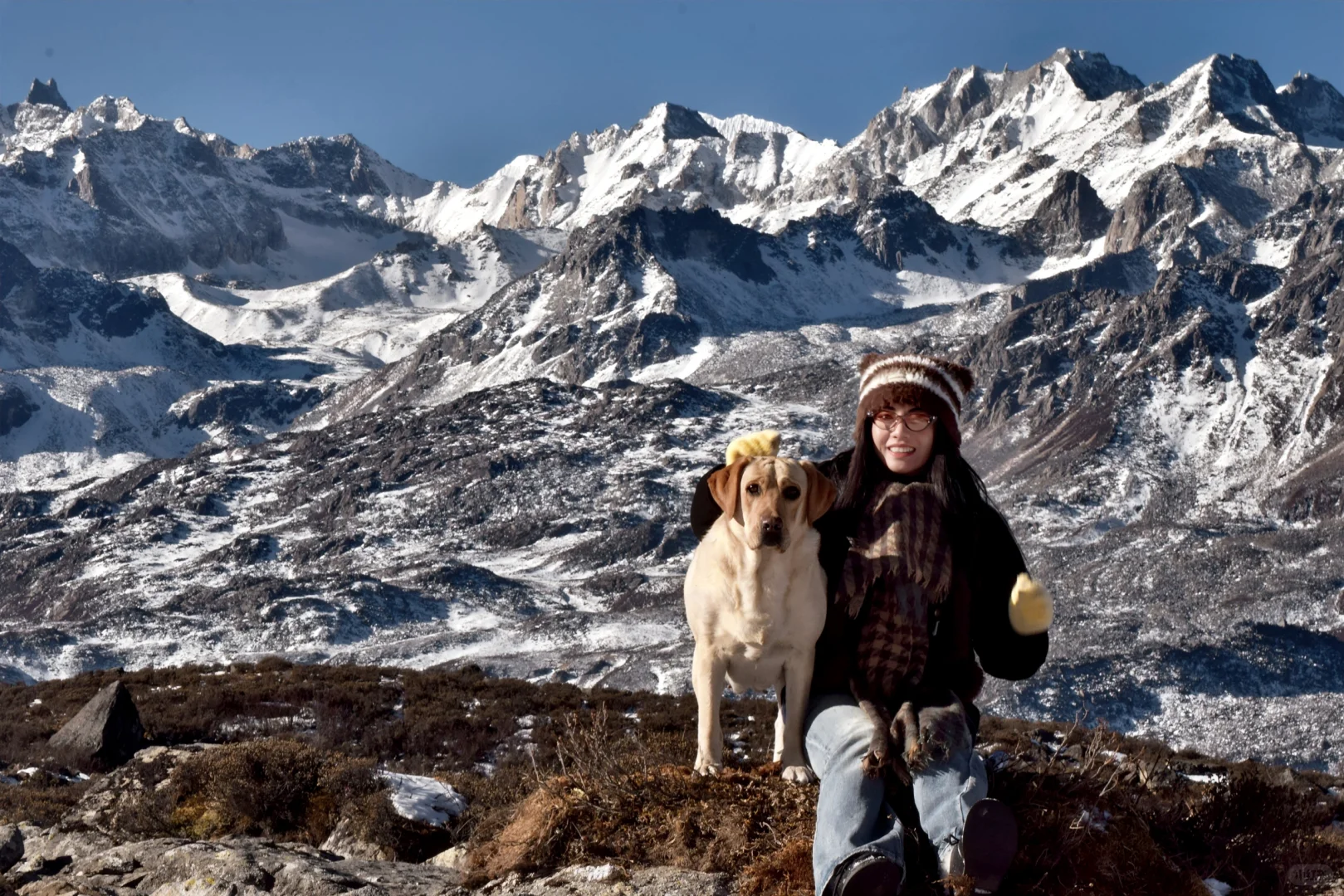 川西可以带狗狗的景区大全