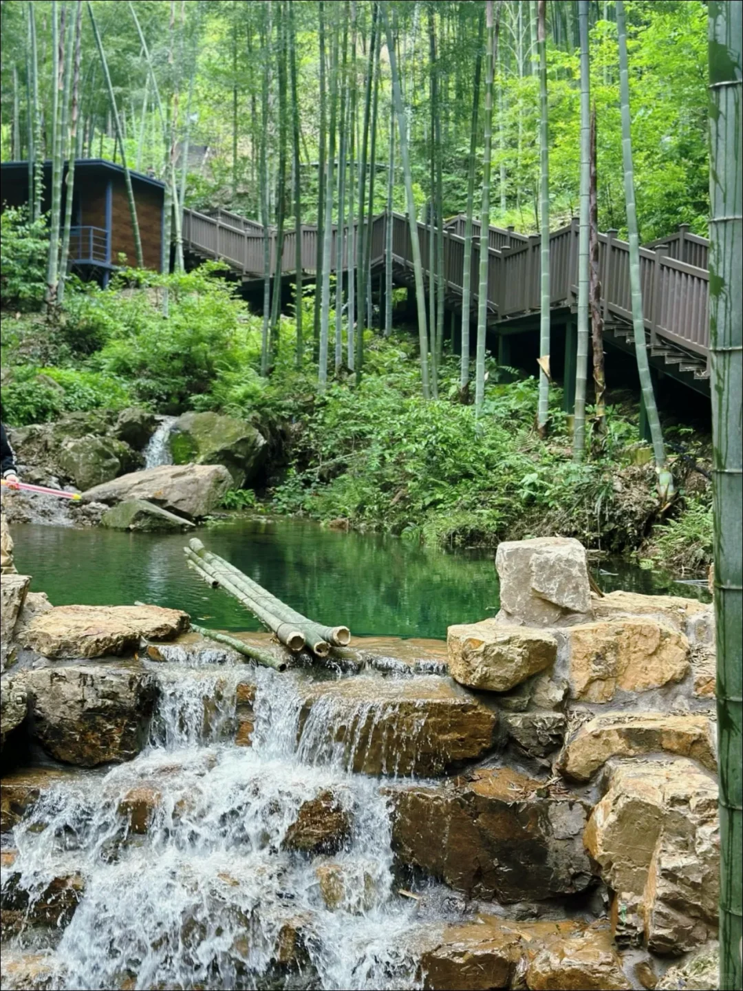 宜兴｜我宣布这座小城真是我反向旅游的NO.1