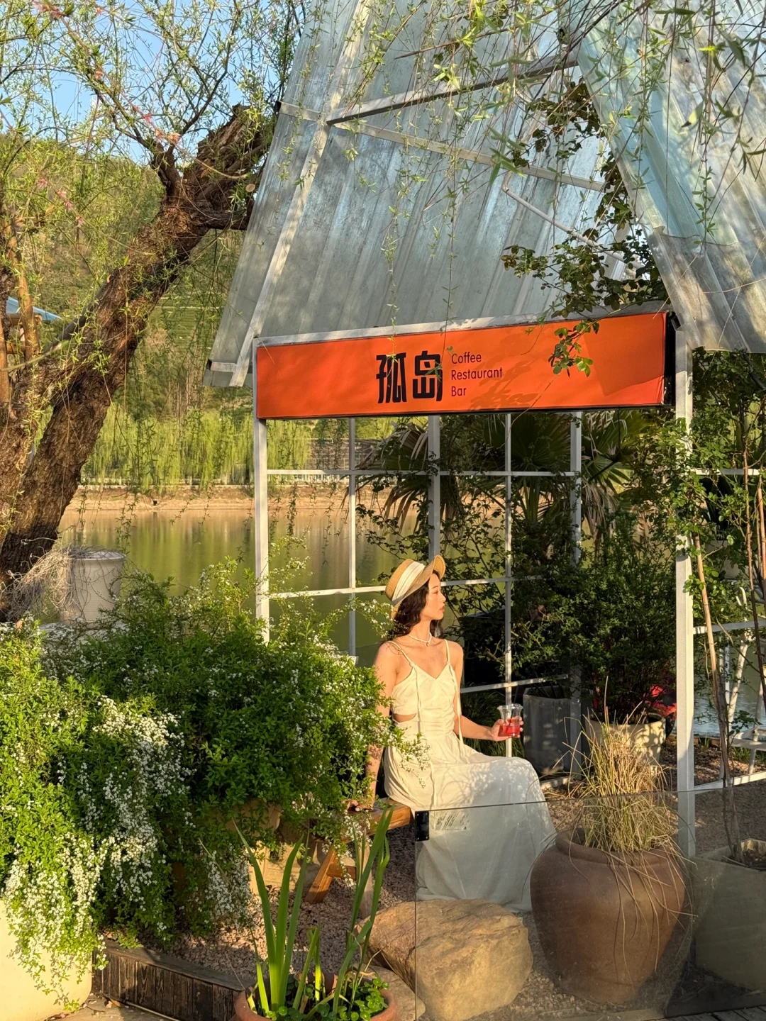 杭州1h❗️我找了春日限定的金色浪漫🌼🌼🌼