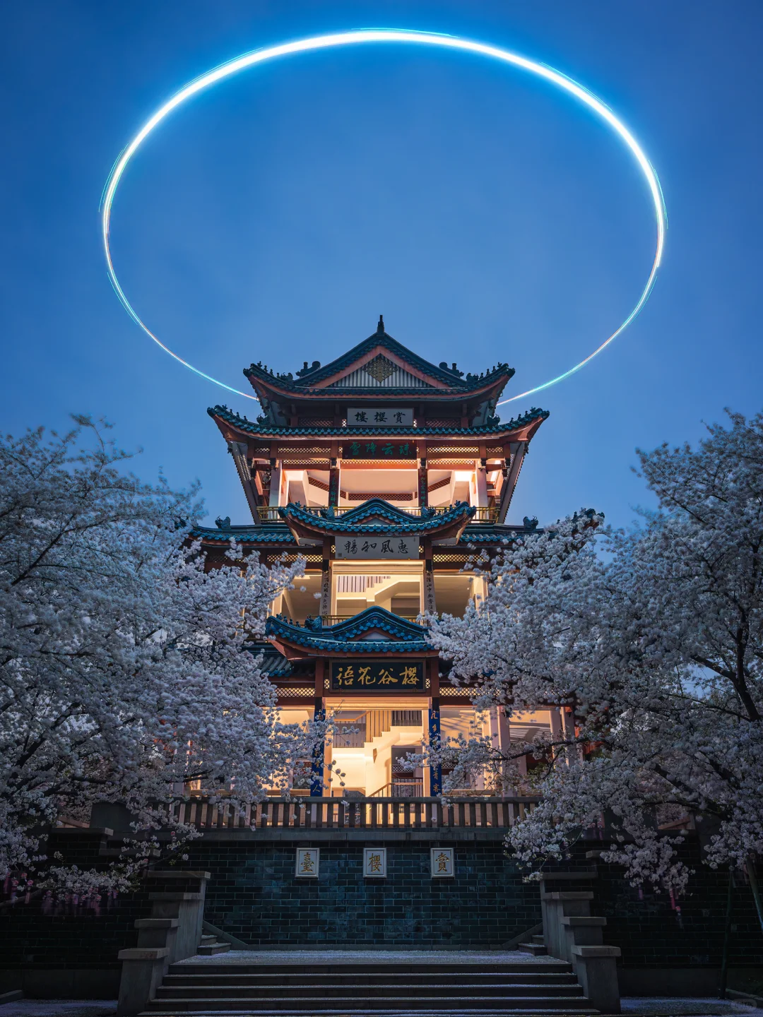 接下来的鼋头渚🌸将迎来万万次的春和景明