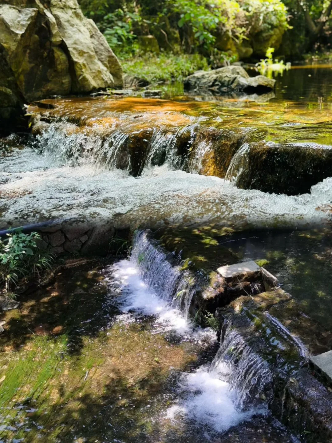 宜兴｜我宣布这座小城真是我反向旅游的NO.1