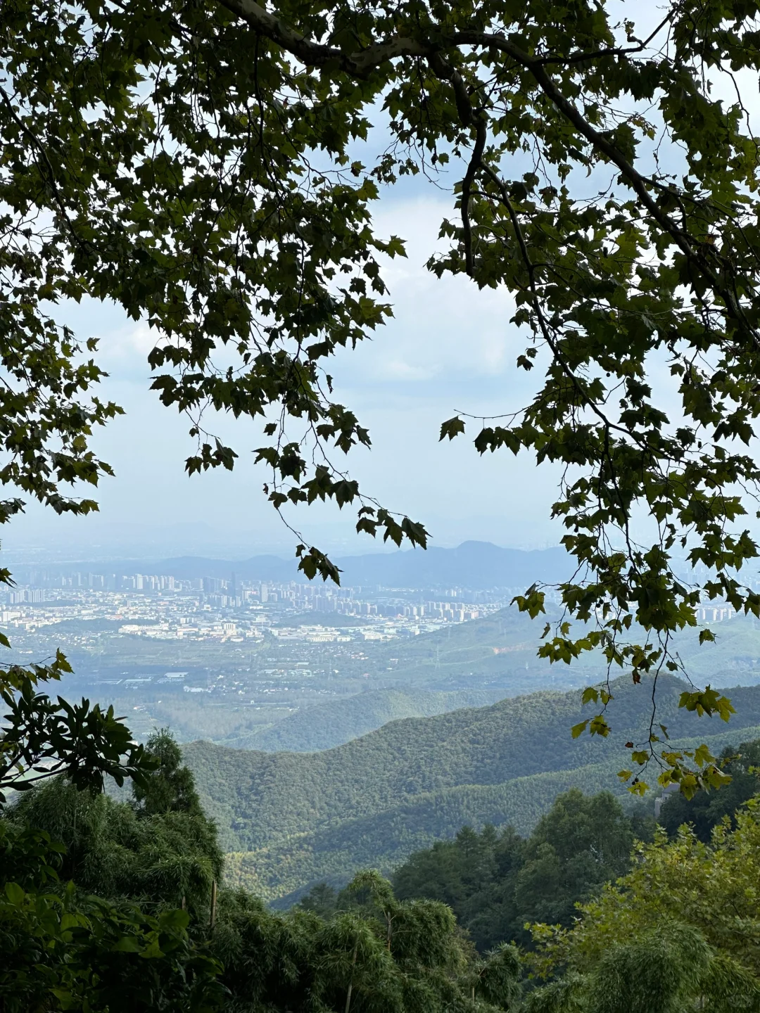 莫干山 舒服😌