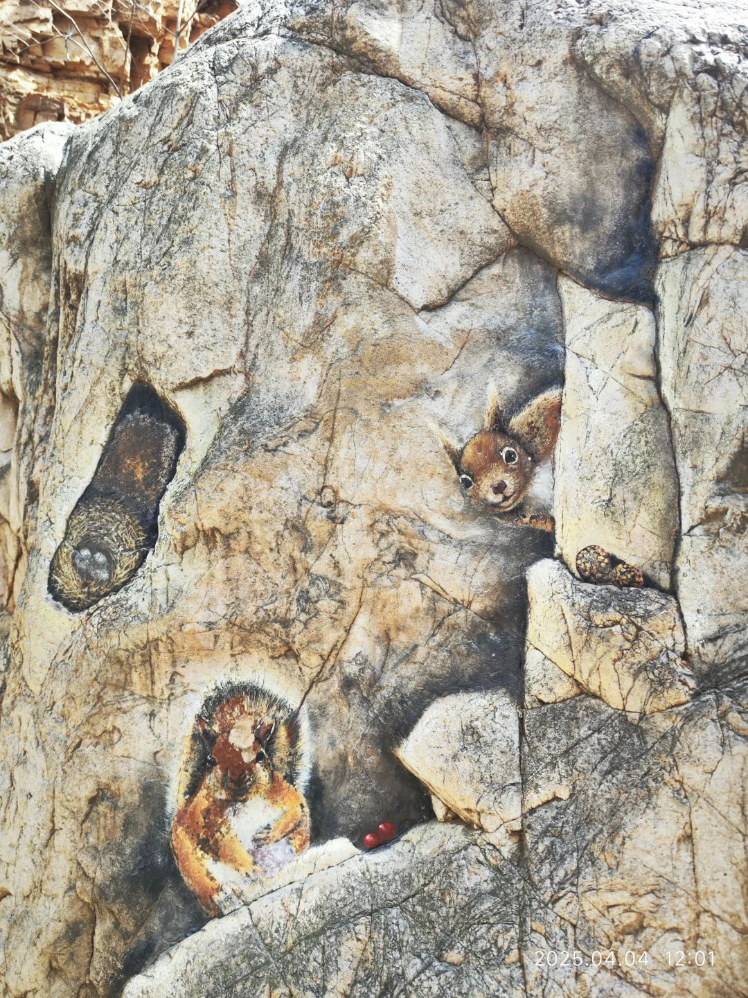 体力差的千万不要来！！