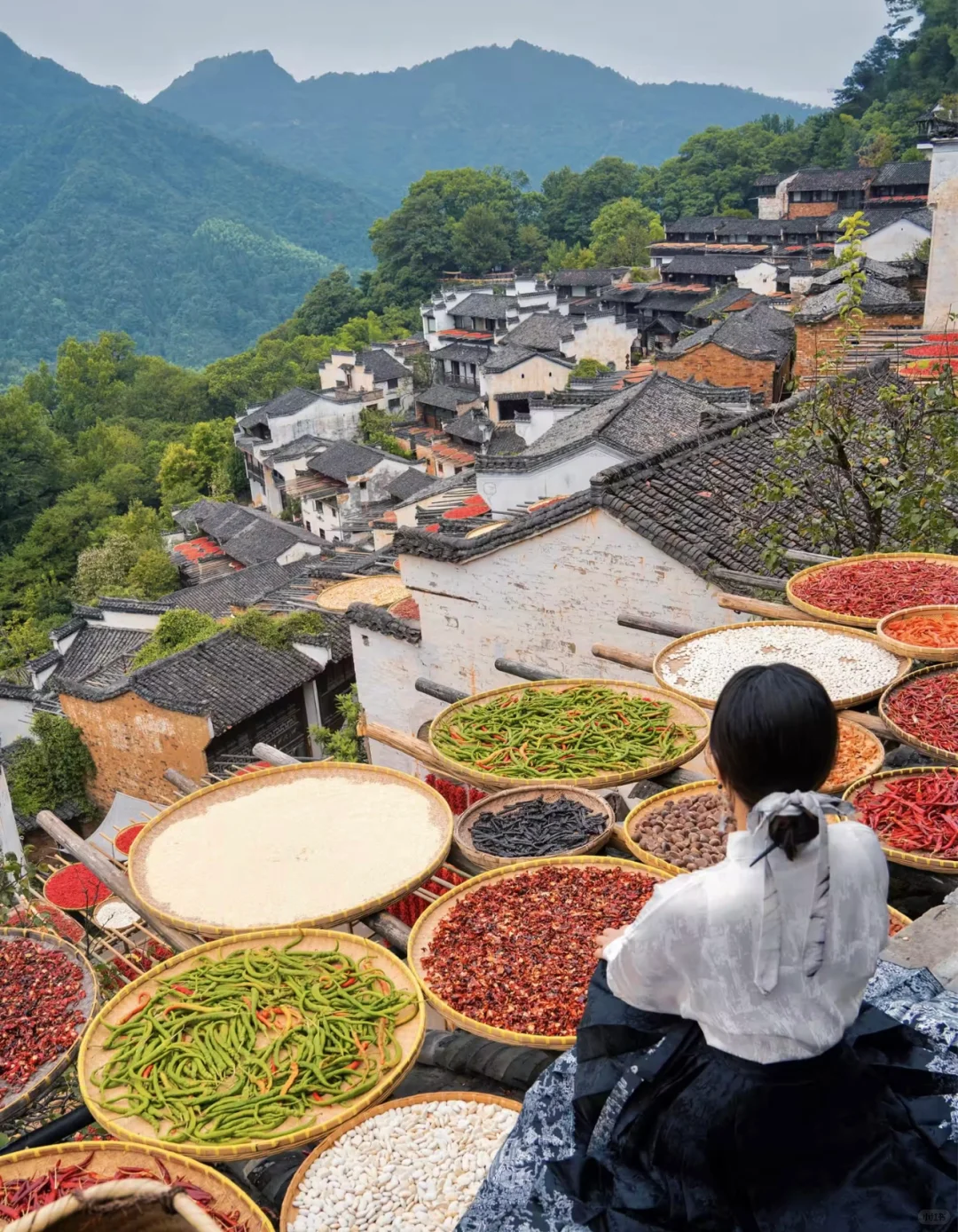 4月反向旅游穷游去这4个城市✅