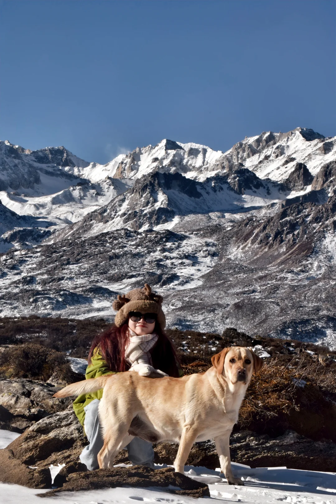 川西可以带狗狗的景区大全