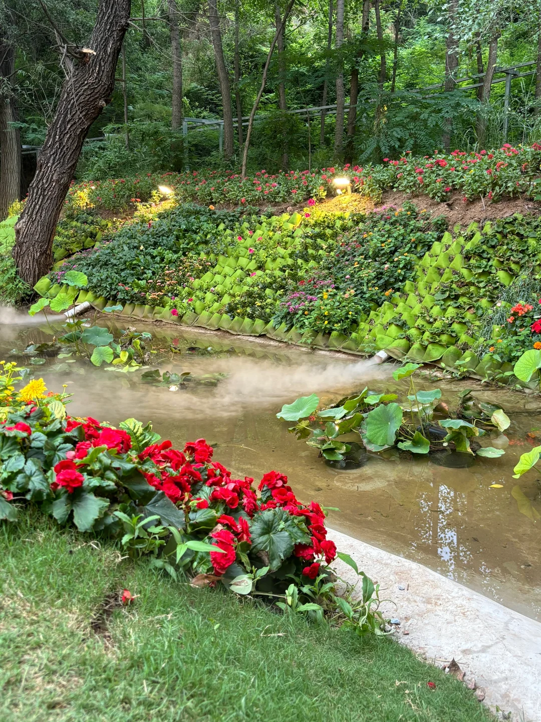 在邯郸一不小心闯进童话世界了