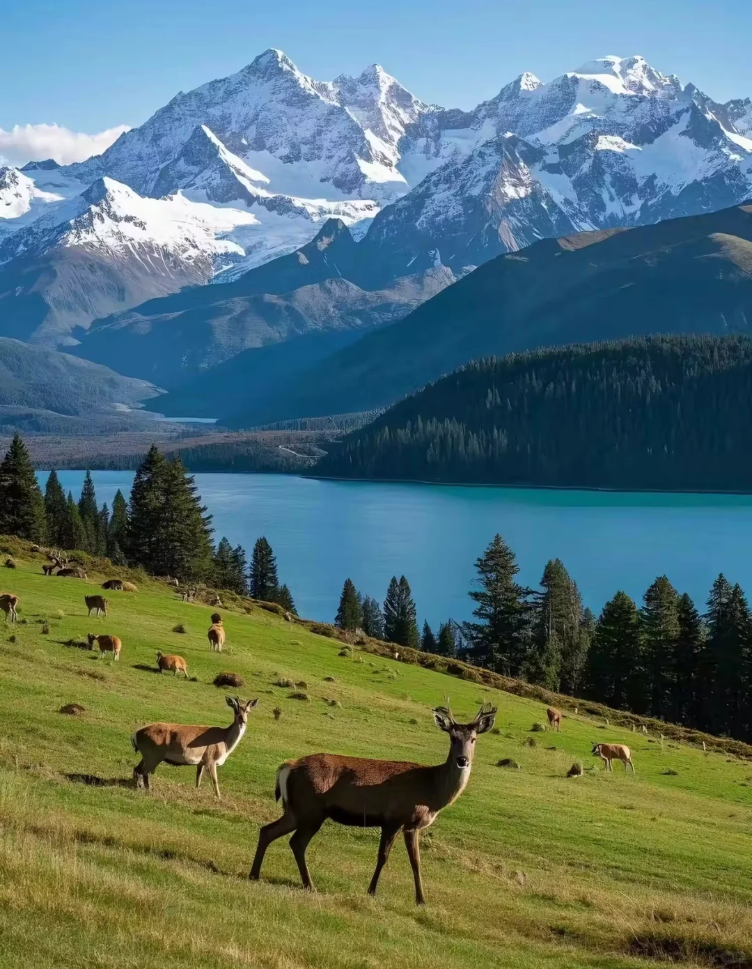 4月反向旅游穷游去这4个城市✅