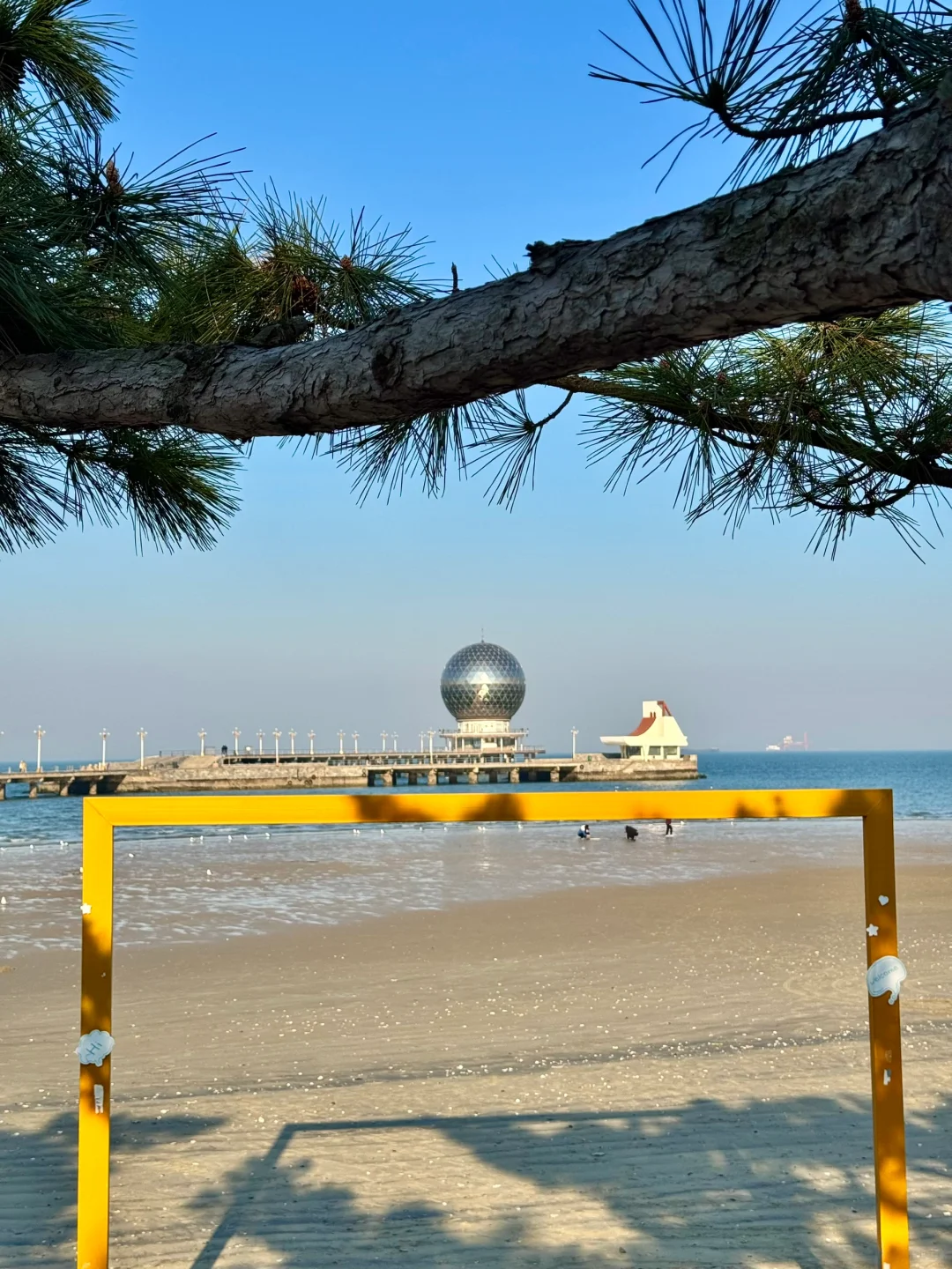 烟台！🌿超全春日🌸打卡神仙地景点合集！！