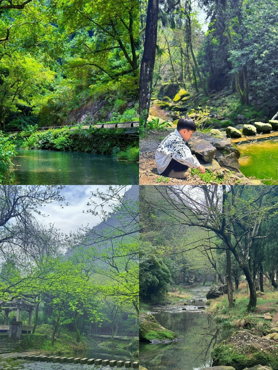 整理好了❗️温州清明宝藏户外遛娃地合集推荐