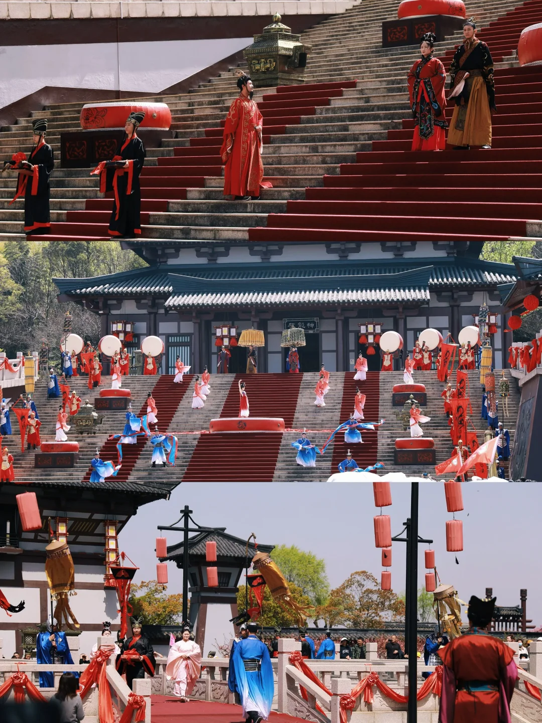 在无锡！今年见过最震撼的樱花！！！