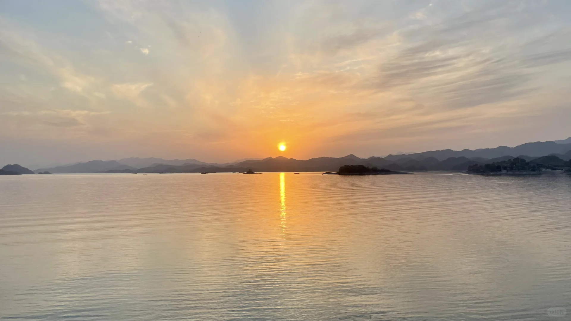 精神状态be like：快乐小狗