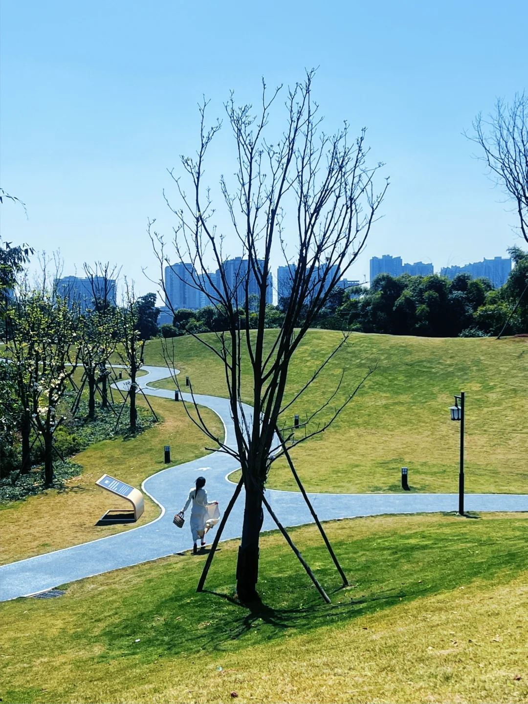 乐山」老城区被低估的公园，美到next level了