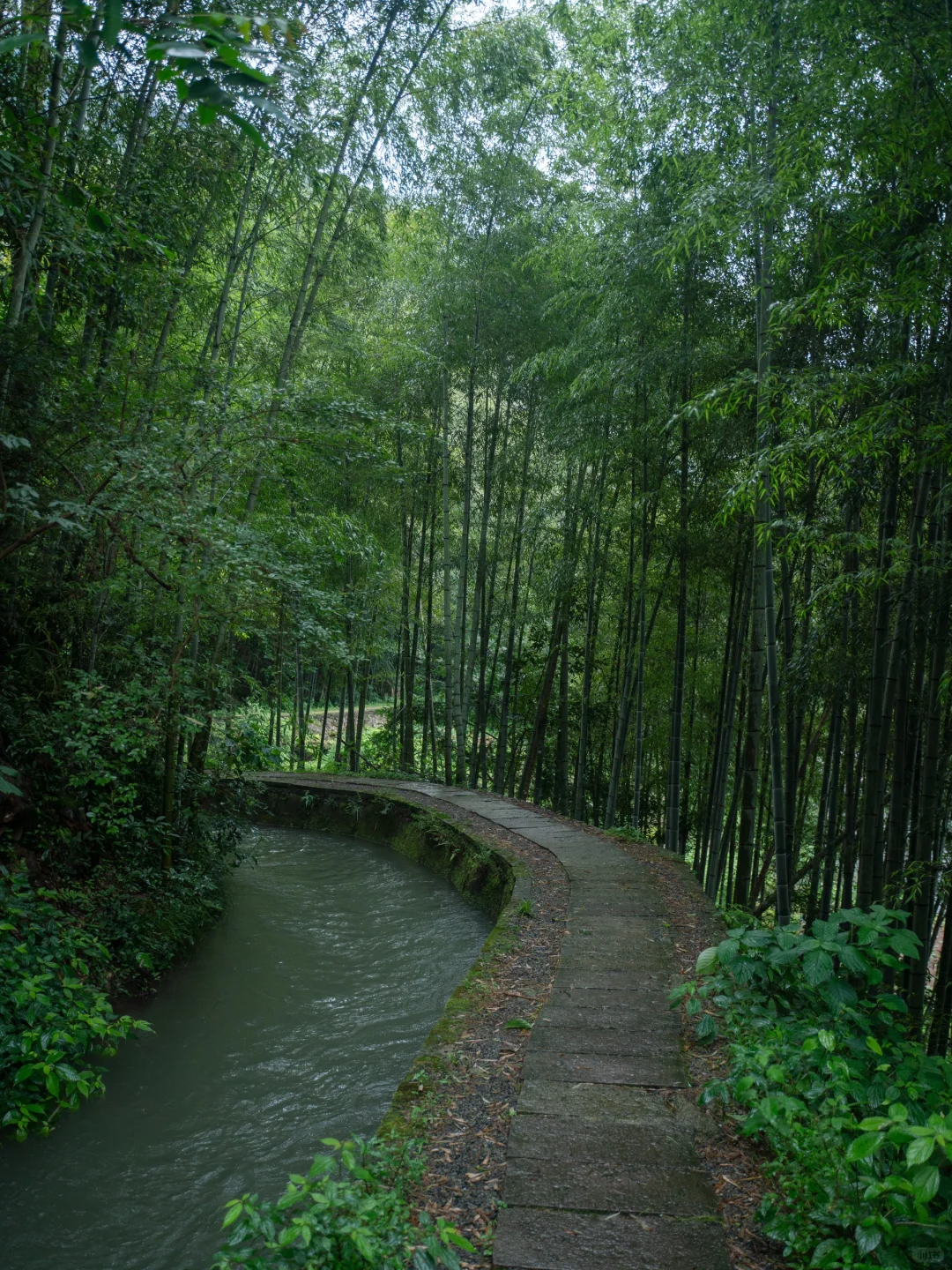后悔才去😭江浙沪最适合春游的绝美小城